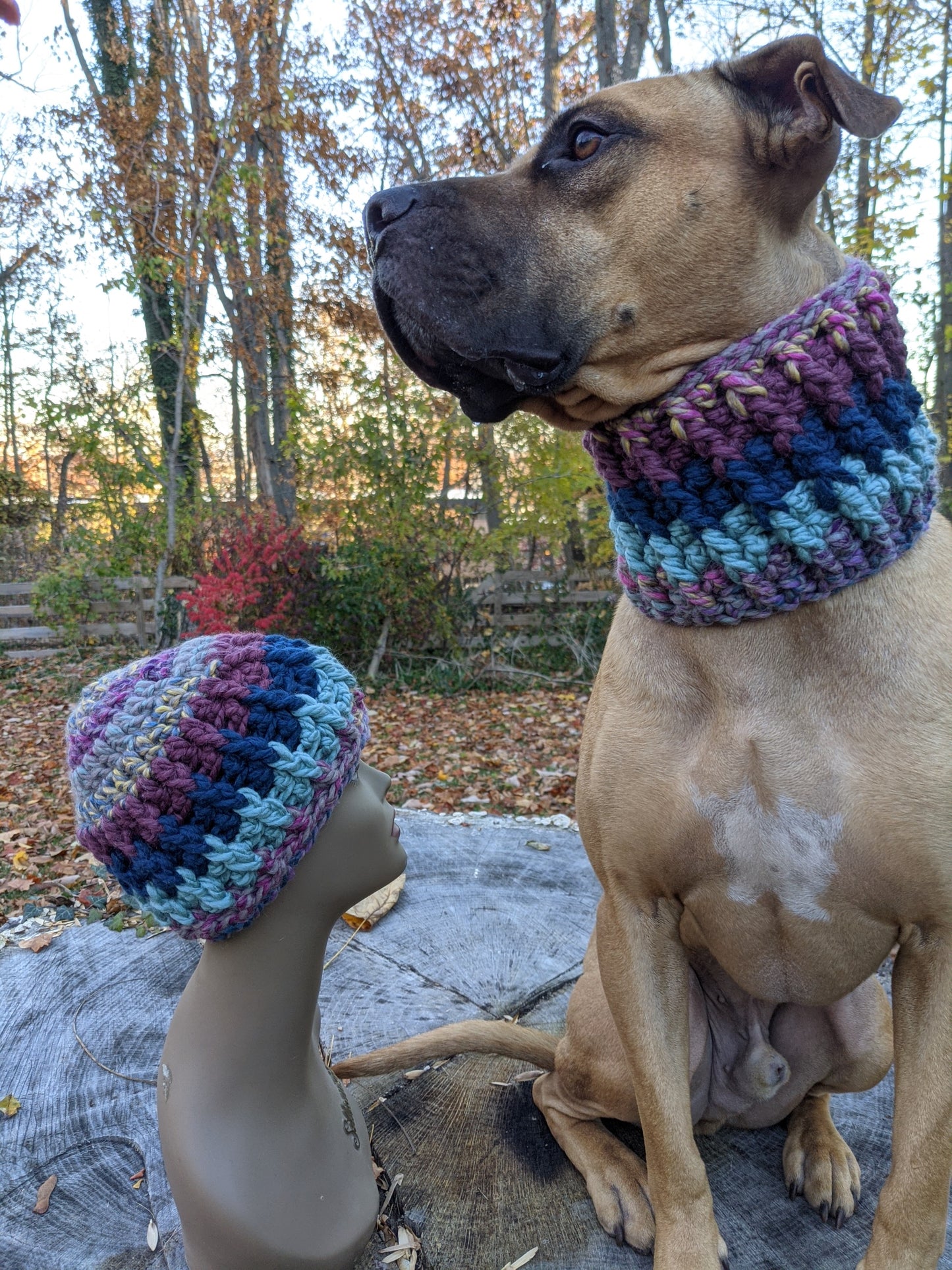 The Ripple Cowl - Cosmos