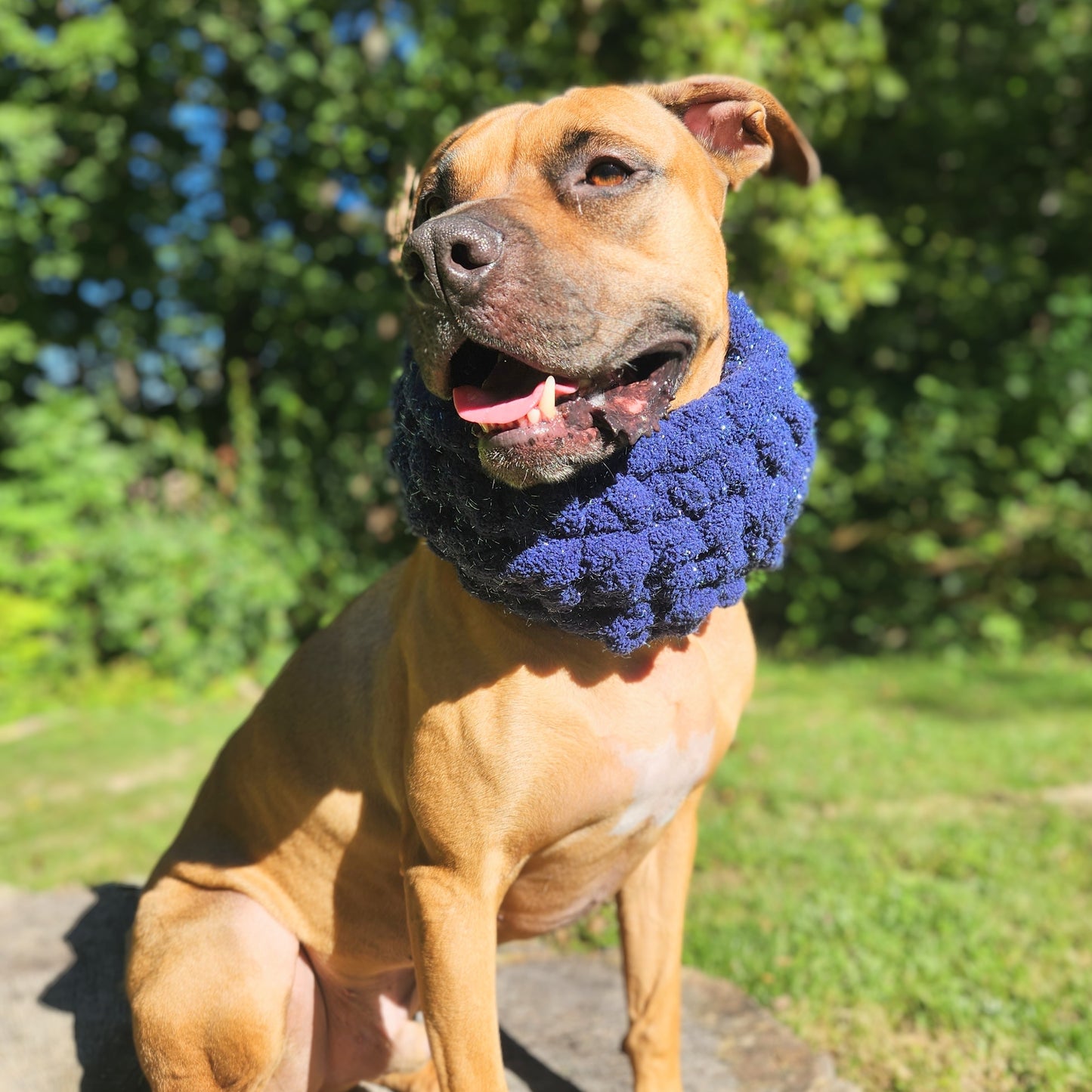 Sparkle Puff | Dog Cowl