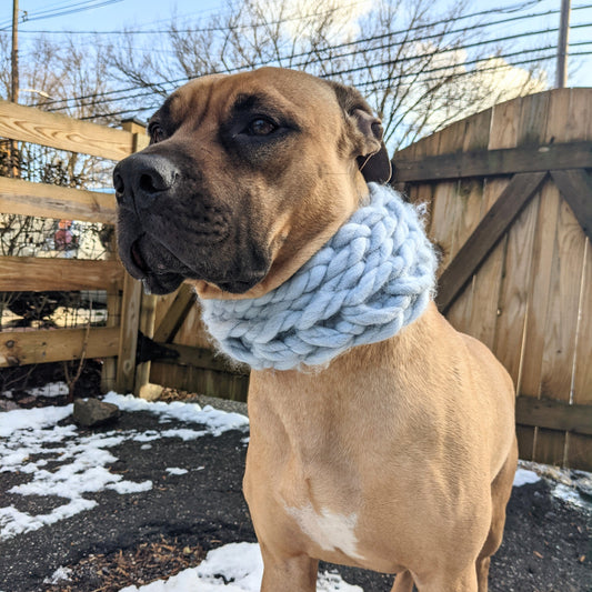 The Powder Puff | Dog Cowl